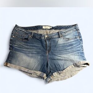 Torrid High-Rise Denim Blue Women's Shorts